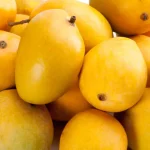 Alphonso Devgad Mangoes Box of 12 (3 KG)