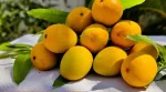 Alphonso Devgad Mangoes Box of 12 (3 KG) - Image 4