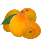 Alphonso Ratnagiri Mangoes Box of 12 (3 KG)