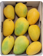 Badami/Banganapalli Mangoes - (4 KG)