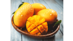 Kesar Gujarati Mangoes Box of 12 (3 KG) - Image 2